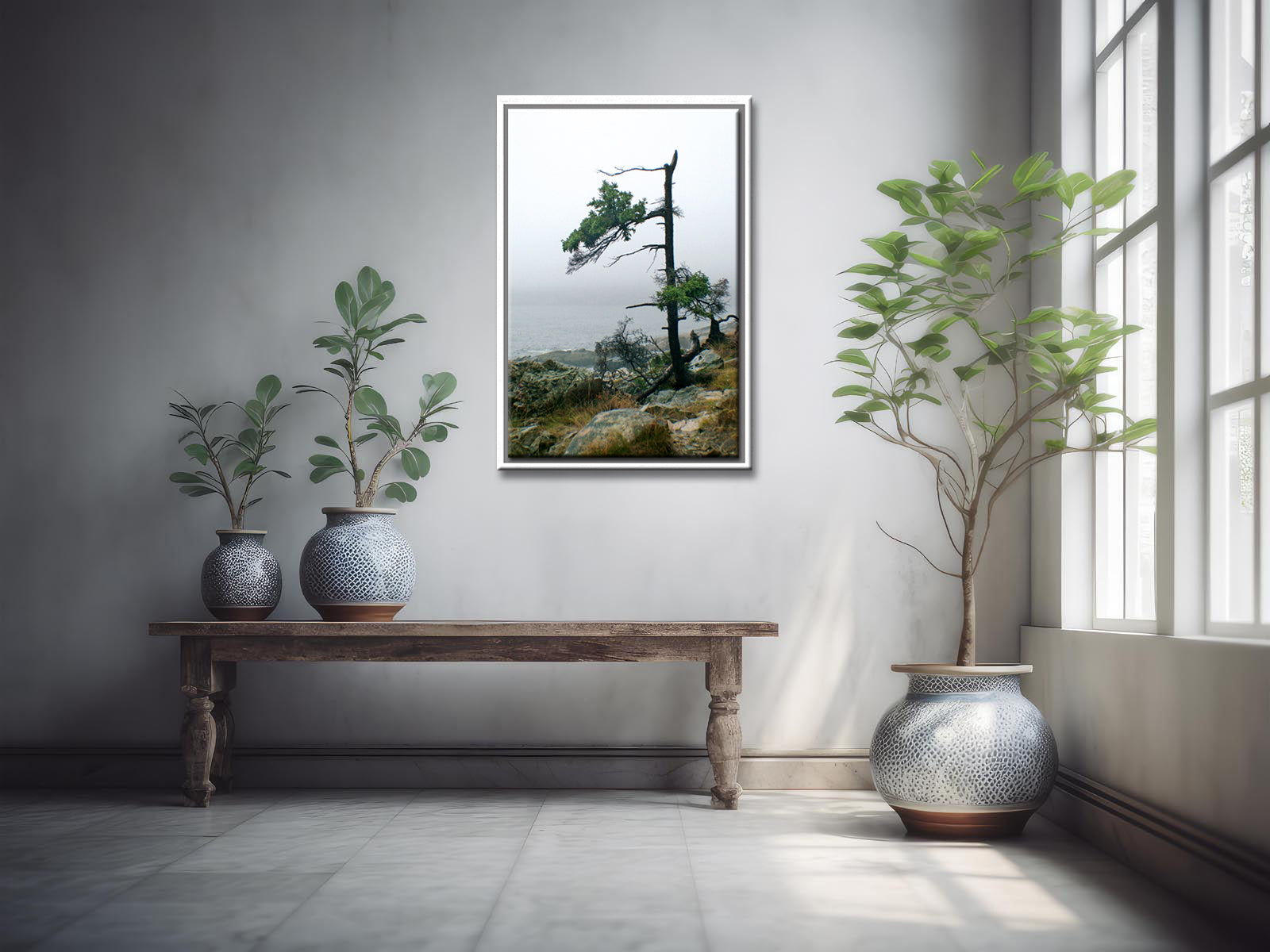Stunning, evergreen tree on the coast of Maine. Framed fine art photography by Kristen Olivares.