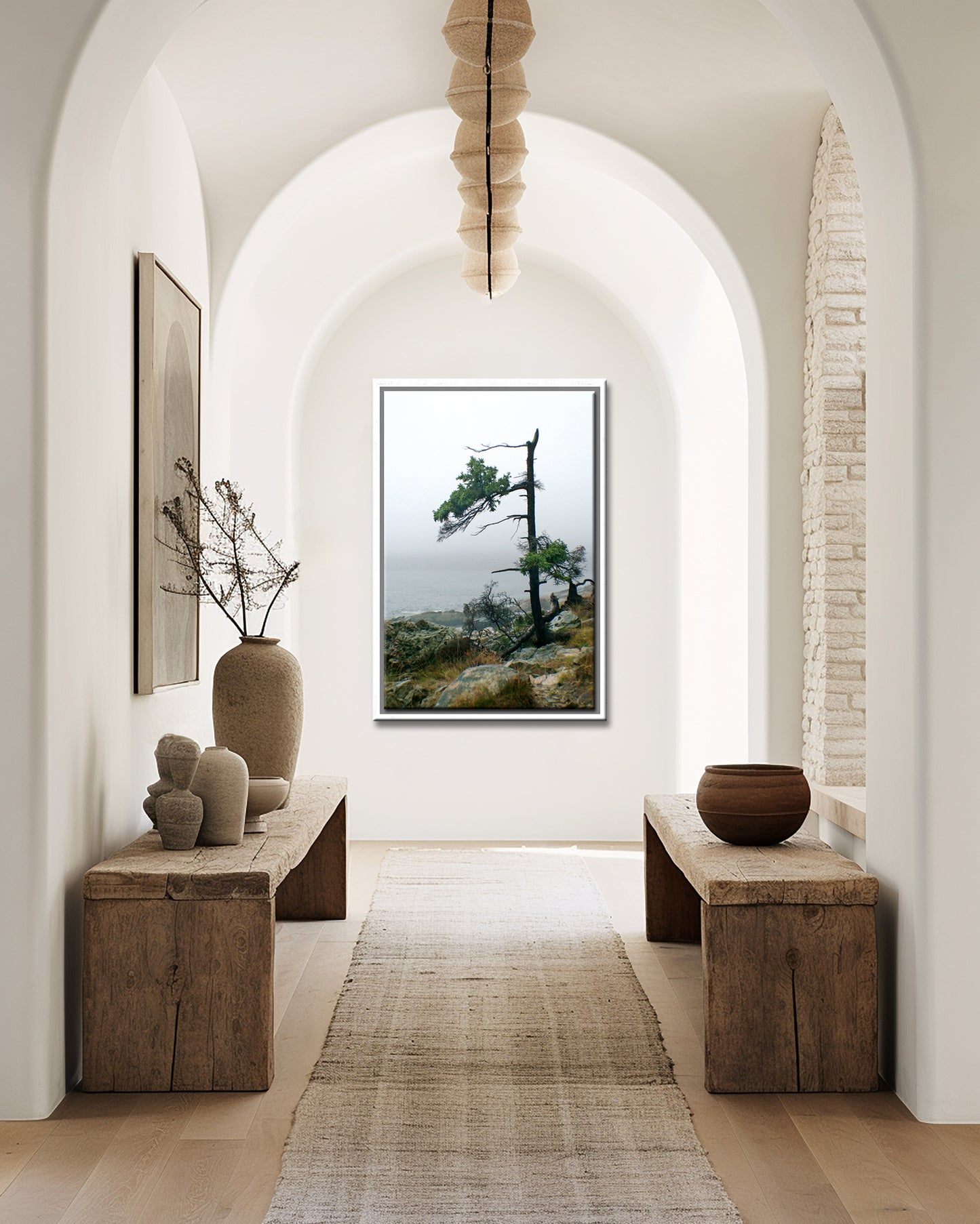 Stunning, evergreen tree on the coast of Maine. Framed fine art photography by Kristen Olivares.