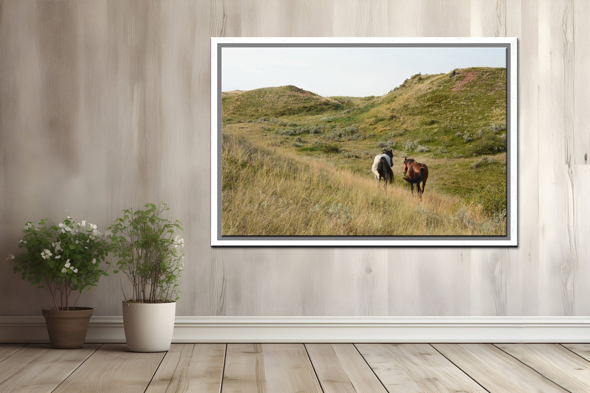 Two beautiful wild horses strolling along together in the western fields of Yellowstone.Framed canvas wall art. Fine Art Photography by Kristen Olivares