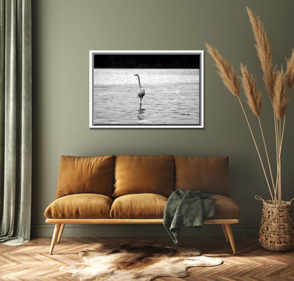 Beautiful Heron walking upon the beach-Framed Fine Art canvas Print by Kristen Olivares