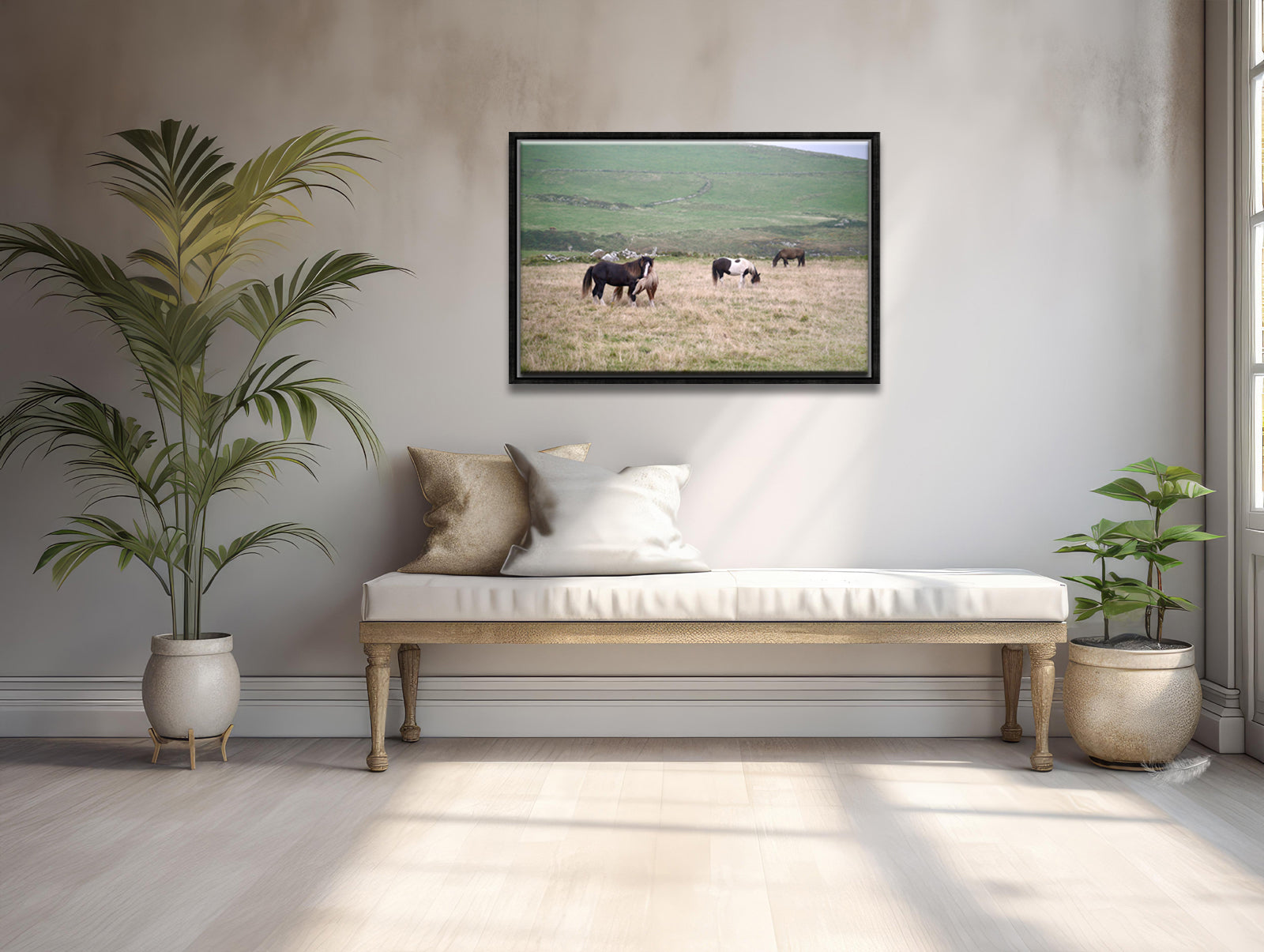 A field of wild, playful and grazing horses interacting in the fields of Ireland. Framed canvas wall art by Kristen Olivares.