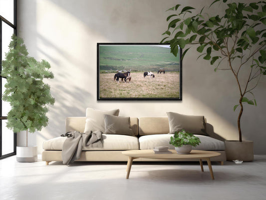 Two loving, playful horses interacting in the fields of Ireland. Framed canvas wall art by Kristen Olivares
