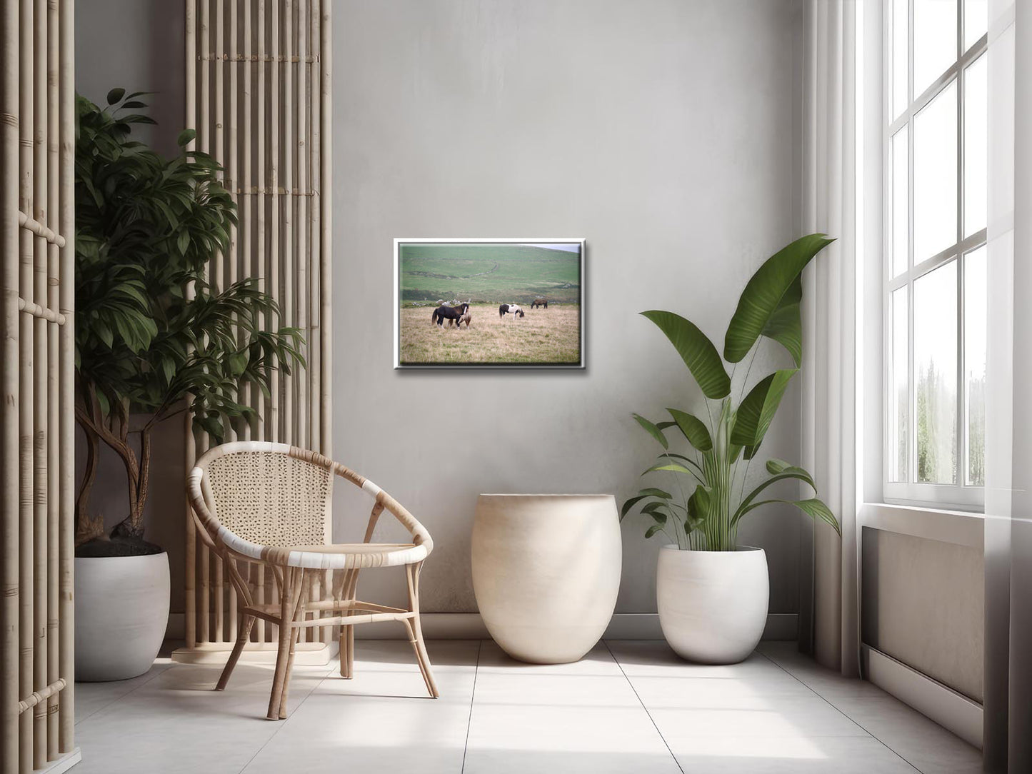 A field of wild, playful and grazing horses interacting in the fields of Ireland. Framed canvas wall art by Kristen Olivares.