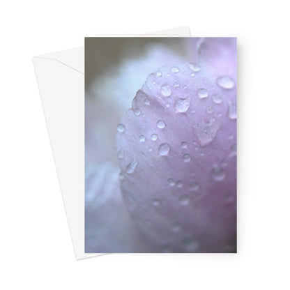 Pink in the Rain Greeting Card